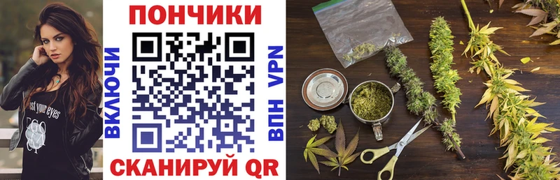 цена   Красновишерск  Шишки марихуана гибрид 